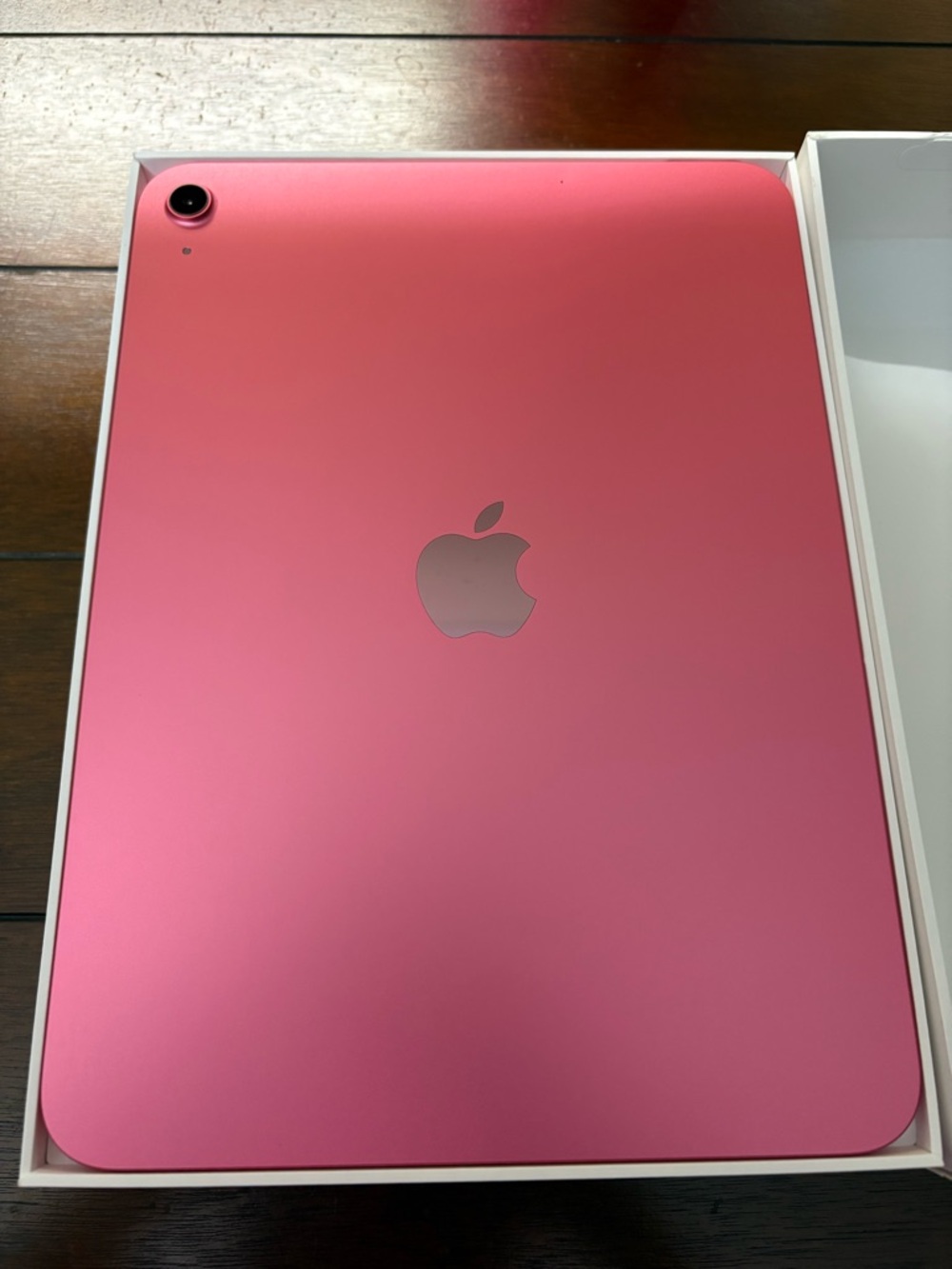 Apple A16 iPad - Pink Aluminum Back with Rear Camera